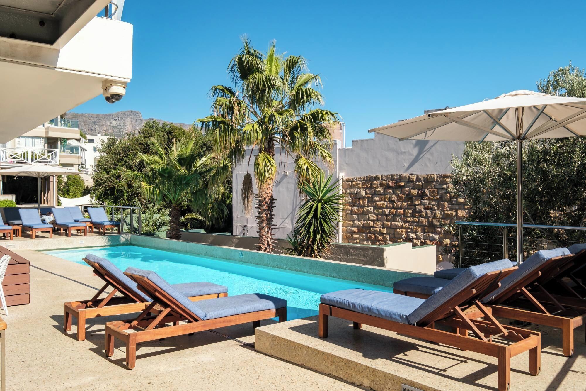 A poolside area with lounge chairs, a stone wall, and palm trees.