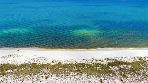 Een strand met helderblauw water, een zandstrand en schaarse begroeiing.