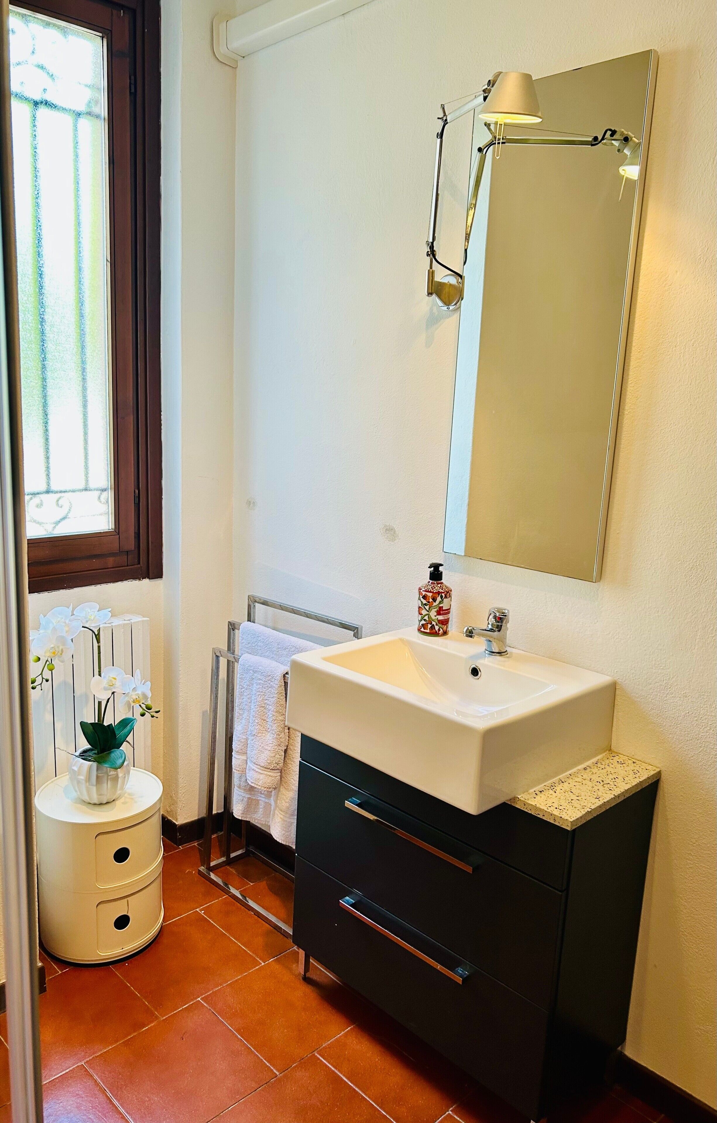 A bathroom with a white sink, a mirror, a towel rack, and a window with a view of greenery.