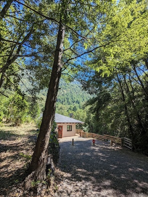 A small cabin with a gravel path leading to it, surrounded by dense forest and a clear blue sky. - Kari Mapu Park (Pucón)