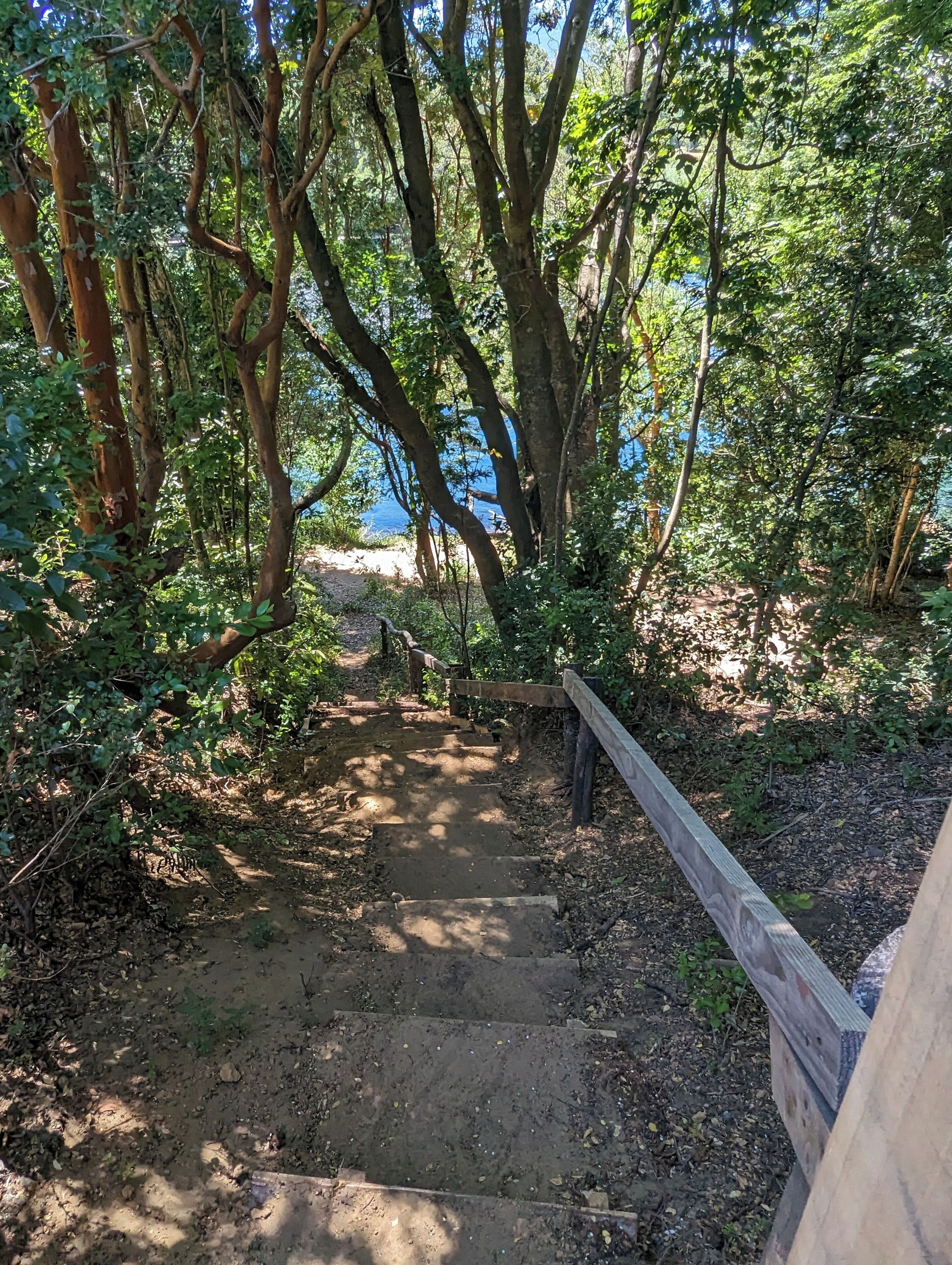 Cabin for 6 people | Property grounds