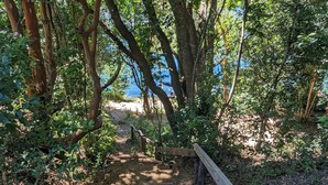 A dirt path leading up a wooden staircase surrounded by trees. - Kari Mapu Park (Pucón)