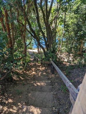 Cabin for 6 people | Property grounds