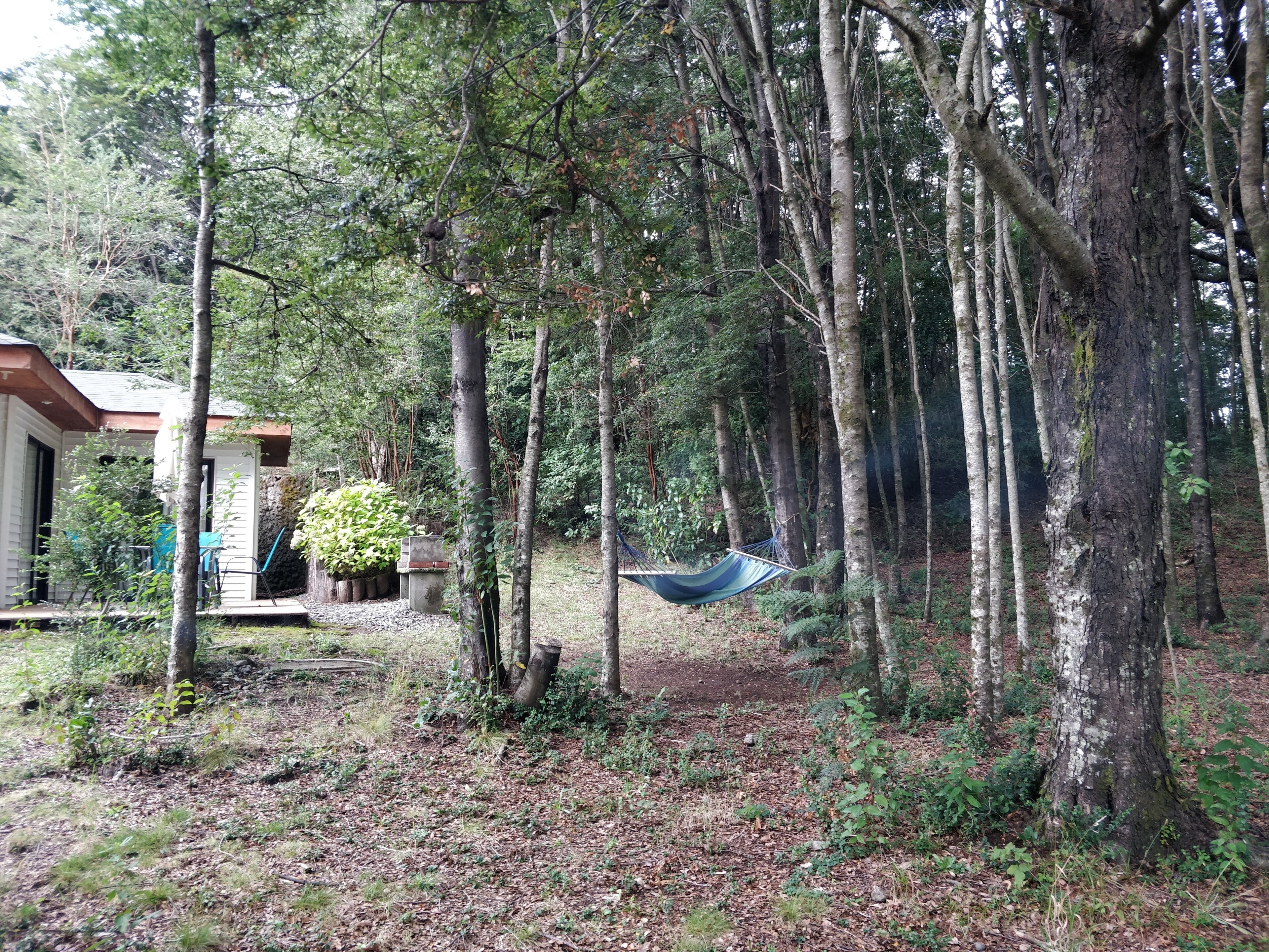 Cabane Confort, 2 chambres, vue jardin | Enceinte de l’hébergement