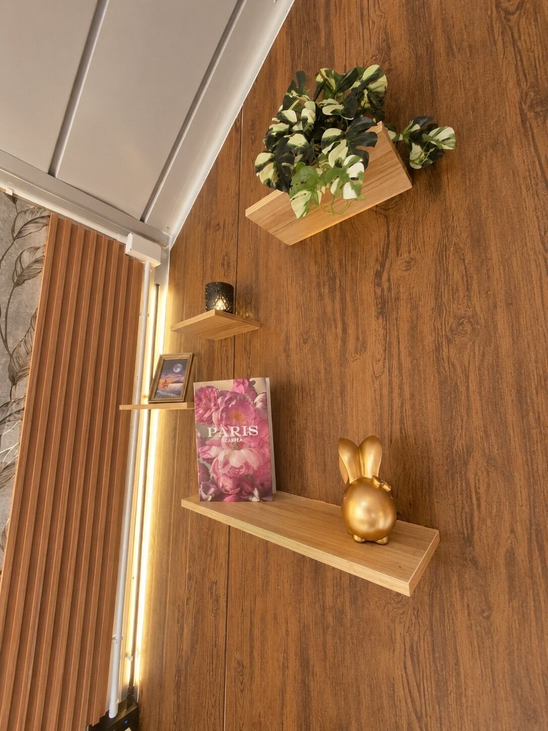 A wooden wall with a shelf holding a book titled 'PARIS CARPEA,' a small golden bunny figurine, and a potted plant with variegated leaves.
