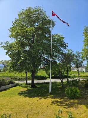 Pemandangan taman
