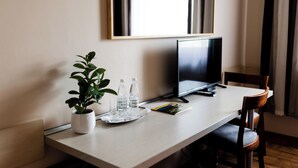 A hotel room with a desk, a television, a potted plant, and a mirror on the wall. - Hotel Nevada (Lagow)