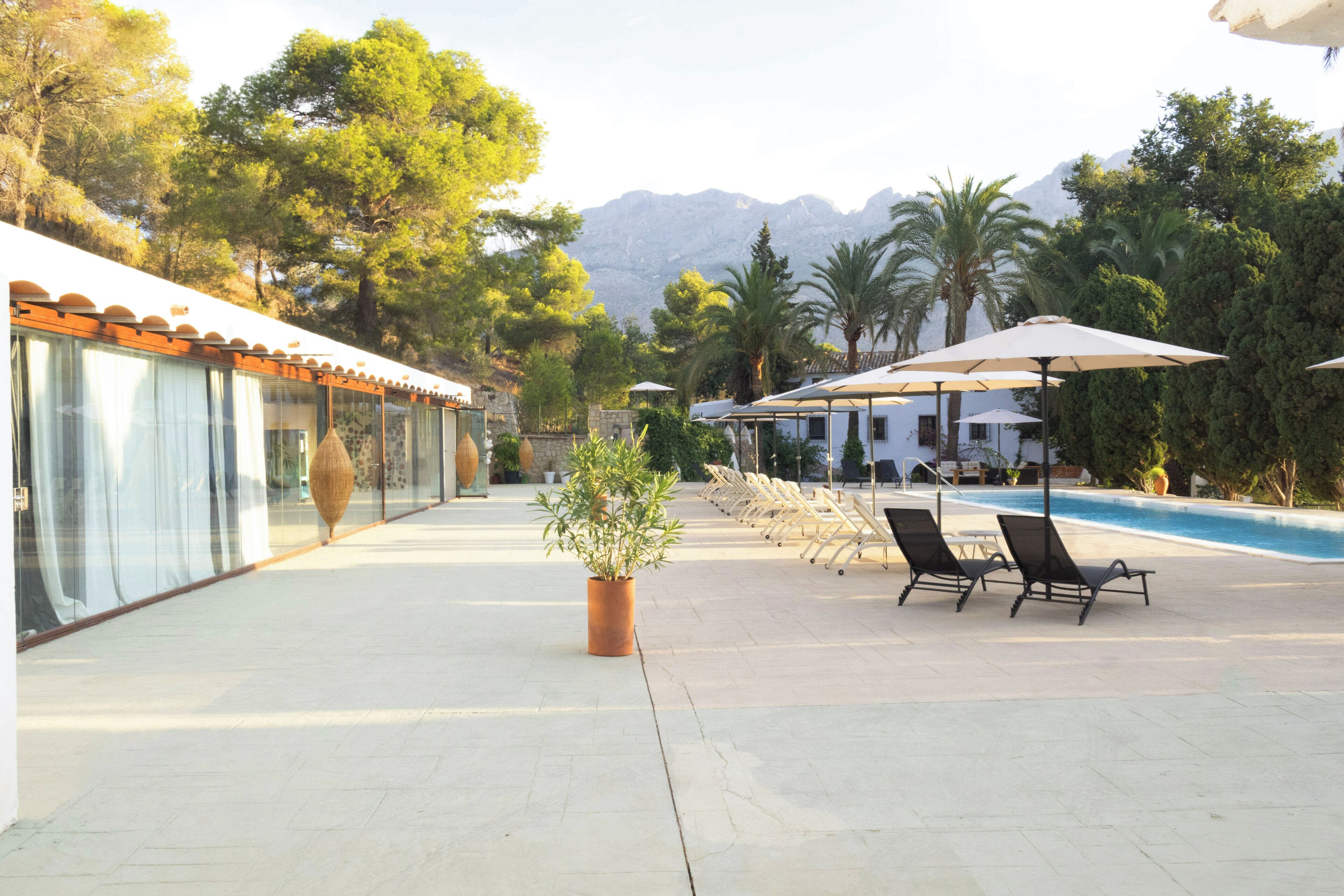 A poolside area with lounge chairs and umbrellas, a potted plant, and a building with a tiled roof.