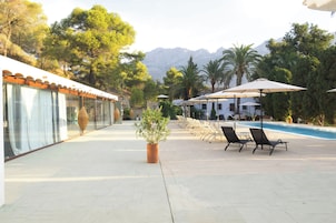 Zona de piscina con sillones reclinables y sombrillas, una planta en maceta y un edificio con tejado de tejas.