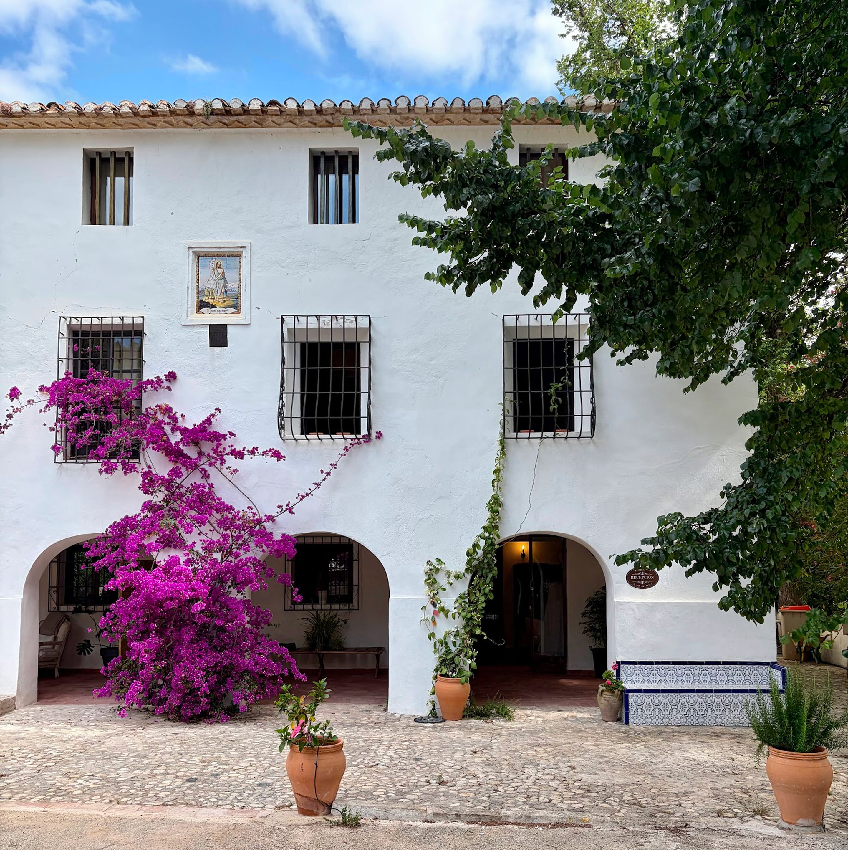 A white building with multiple windows, a balcony, and potted plants.