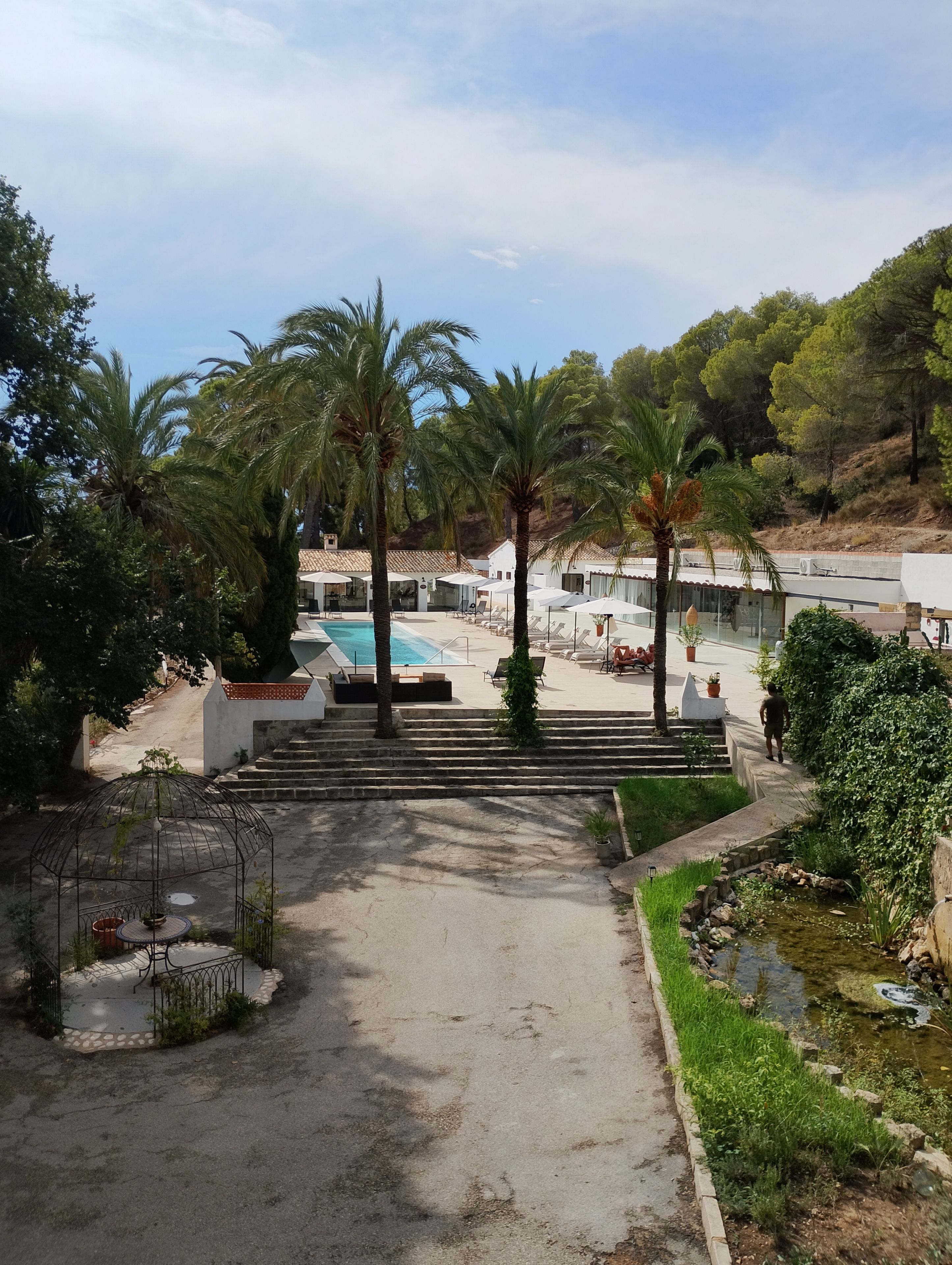 Un resort con piscina, palmeras y vistas del paisaje circundante.