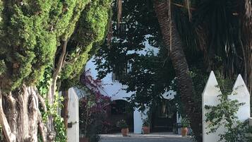 Un sendero que lleva a un edificio de fachada blanca, rodeado de árboles y plantas en macetas.