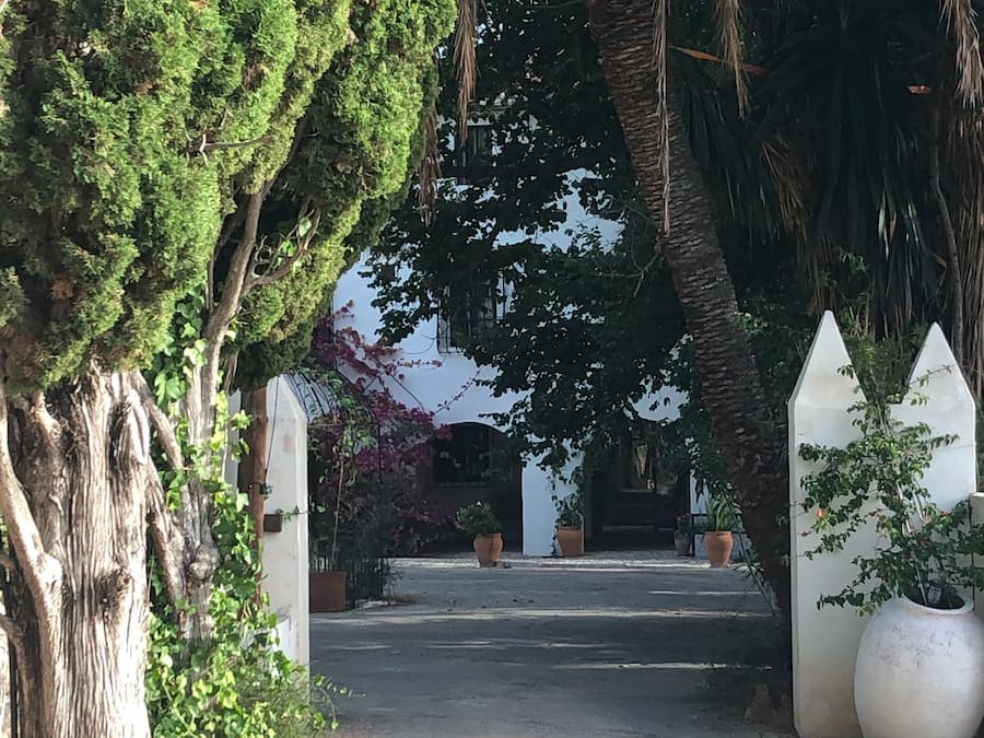 Un sendero que lleva a un edificio de fachada blanca, rodeado de árboles y plantas en macetas.