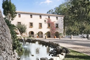 Un edifici amb un pati interior, una petita bassa i plantes en testos.