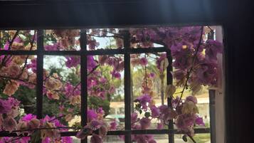 Una ventana con una reja metálica, a través de la cual se ven flores moradas.