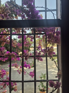 花园景观