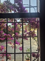 Hageutsikt