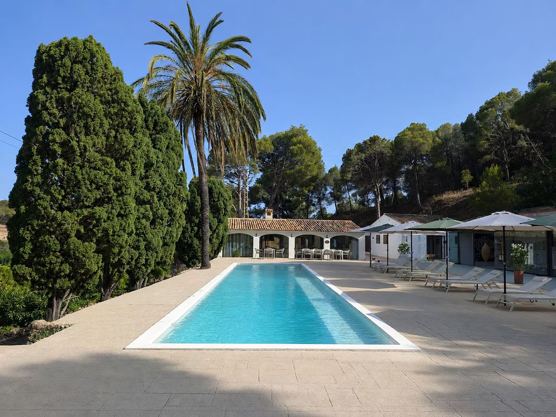 Una piscina rectangular amb un solàrium enrajolat, envoltada de palmeres i un edifici amb teulada enrajolada.