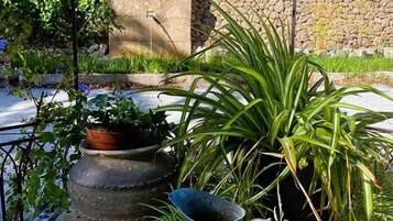 Fuente