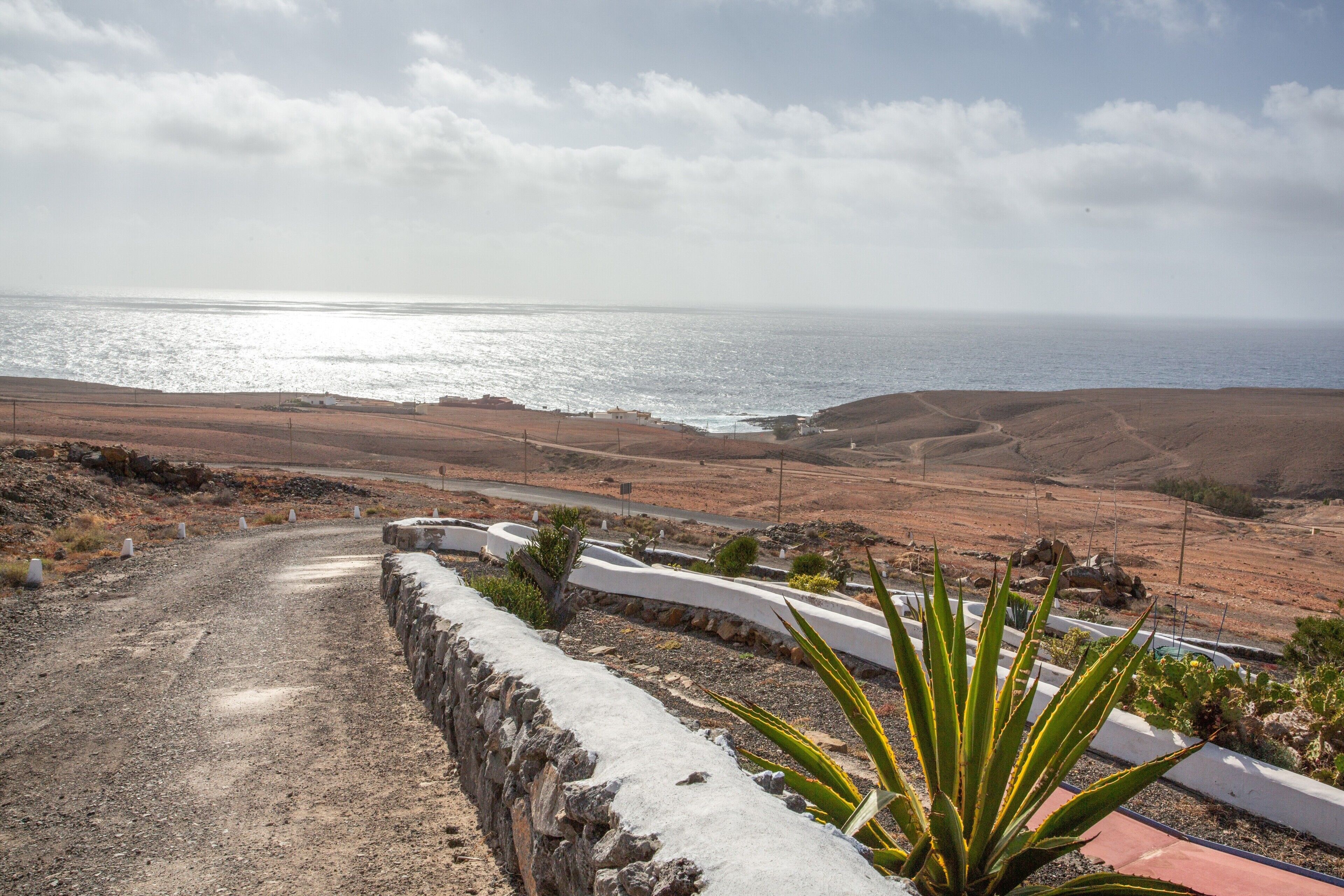 A coastal road with a stone wall and sparse vegetation.