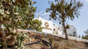 A building with a white exterior and a cactus garden in the foreground. - Apartment in a Natural Park on Fuerteventura’s West Coast (Valle de Santa Inés)