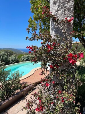 Ein Pool mit klarem, blauem Wasser, umgeben von Grünpflanzen und einer Steinstruktur.