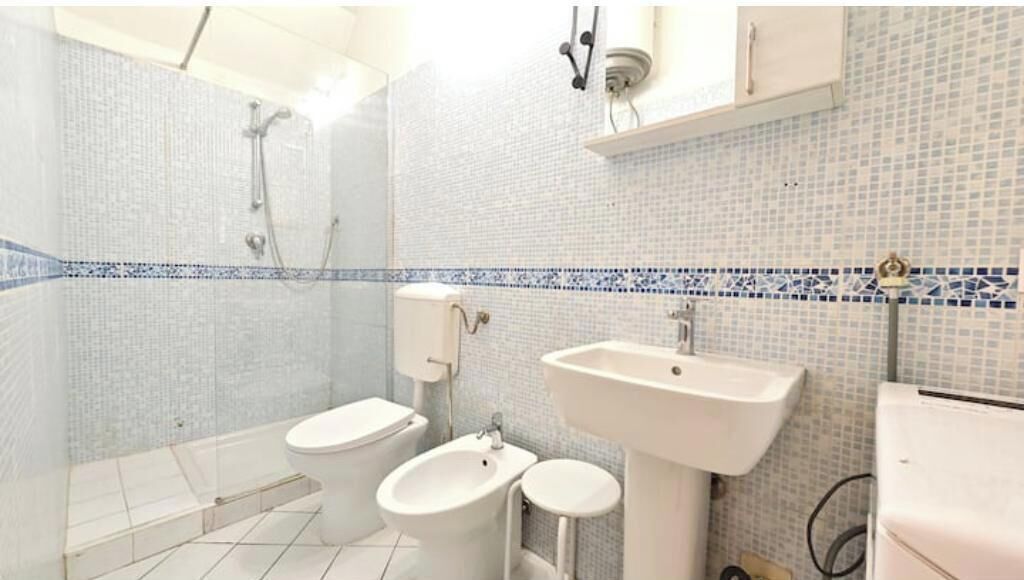 Shower, hair dryer, bidet