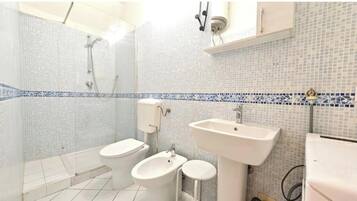 Shower, hair dryer, bidet