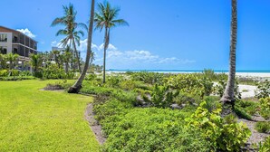 A tropical resort with palm trees, a well-maintained lawn, and a view of the beach. - RIVIERA CLUB BEACHFRONT RESORT CONDO w/ DIRECT GULF VIEWS! WRAP-AROUND LANAI! (Fort Myers Beach)