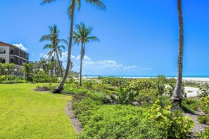 Ein tropisches Resort mit Palmen, einer gepflegten Rasenfläche und Blick auf den Strand.