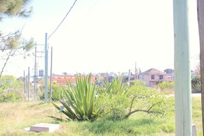 Zona verde con una planta de agave grande, postes de electricidad y edificios residenciales al fondo.