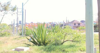 remote work - nature - 800m town center