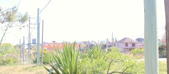 remote work - nature - 800m town center