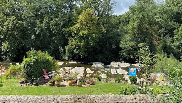 Um jardim com lago, pedras e plantas em vasos.