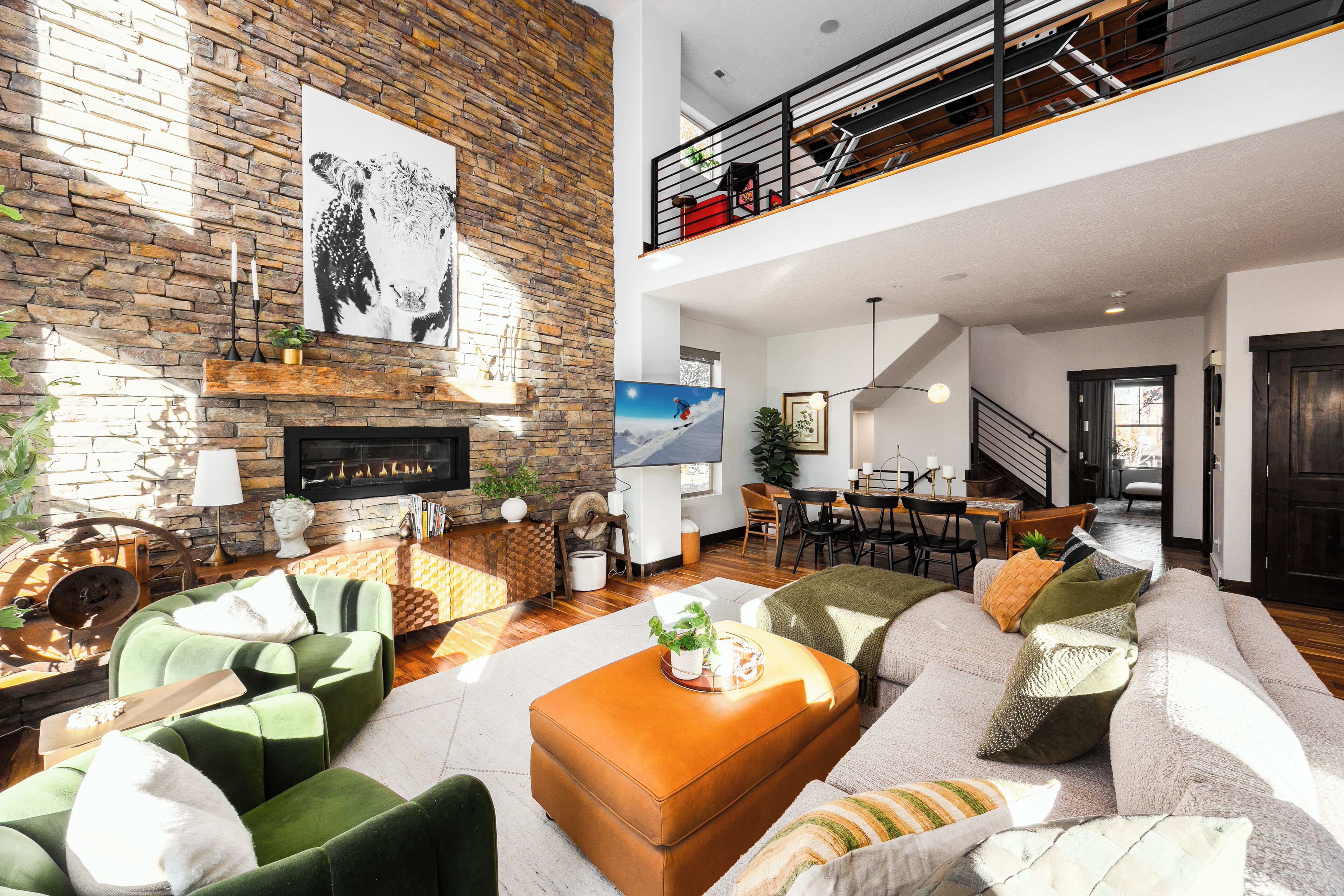 Smart TV, fireplace, video library