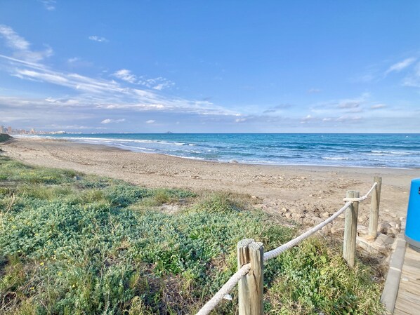 Strand