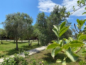 Property grounds - Magic camp&bungalov (FETHİYE)