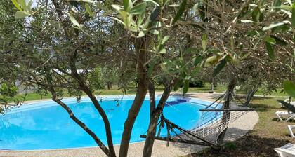 Magic camp&bungalov