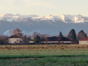Ländliche Landschaft mit einem Feld, Gebäuden und schneebedeckten Bergen im Hintergrund.