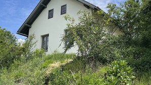 A two-story house with a sloped roof, surrounded by dense greenery.