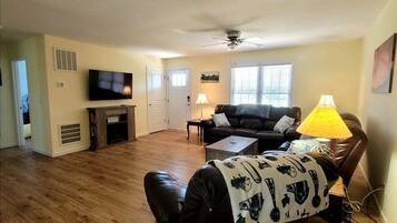 Smart TV, fireplace, books