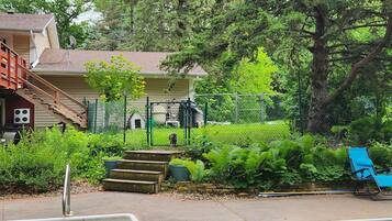 A two-story house with a fenced yard, a dog, and a blue chair.