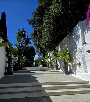 A staircase leading up to a building with white walls and potted plants. - CASA MARBELLA OJEN 8 km from Marbella and SEA (Ojén)