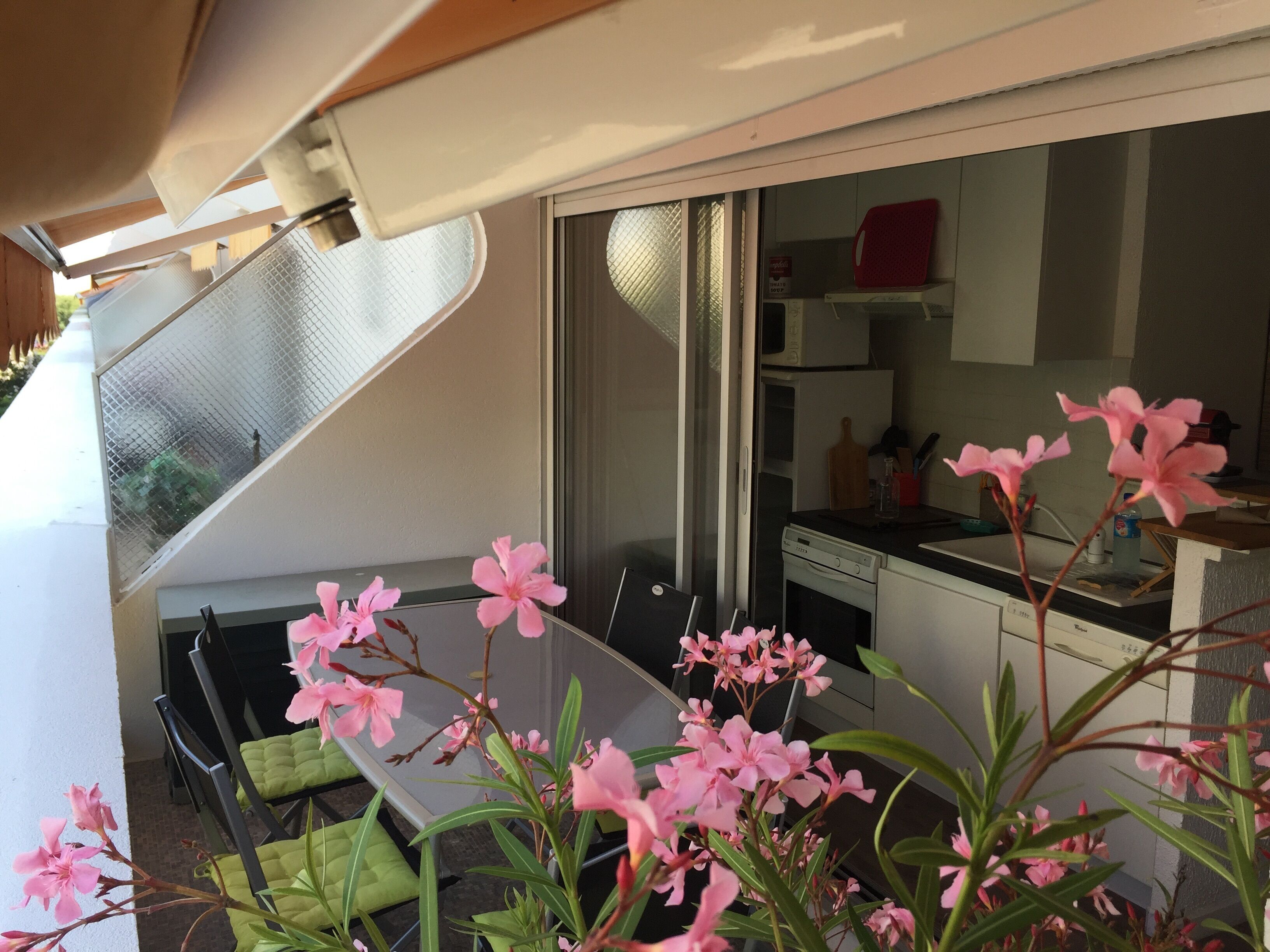 A balcony with a table and chairs, a kitchen area with appliances, and pink flowers in the foreground.