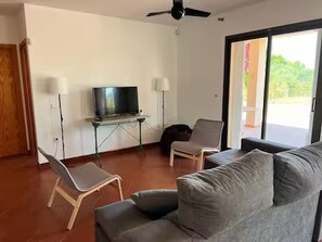Smart TV, fireplace, ping pong, books