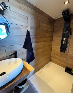 Shower, hair dryer, towels