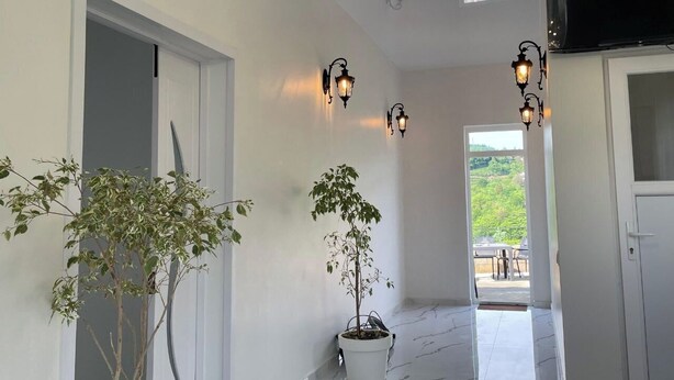 Un pasillo con paredes blancas, una planta en maceta y luces empotradas.
