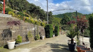 Un camino pavimentado con plantas en macetas, un muro de piedra y un paisaje montañoso con árboles al fondo.