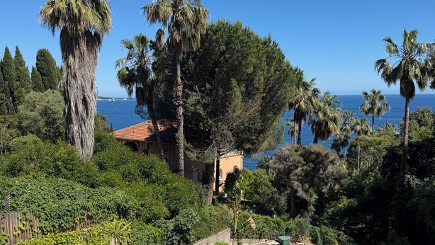 Una piscina a forma semicircolare, circondata da rigogliosa vegetazione e palme, con vista su una distesa d'acqua.