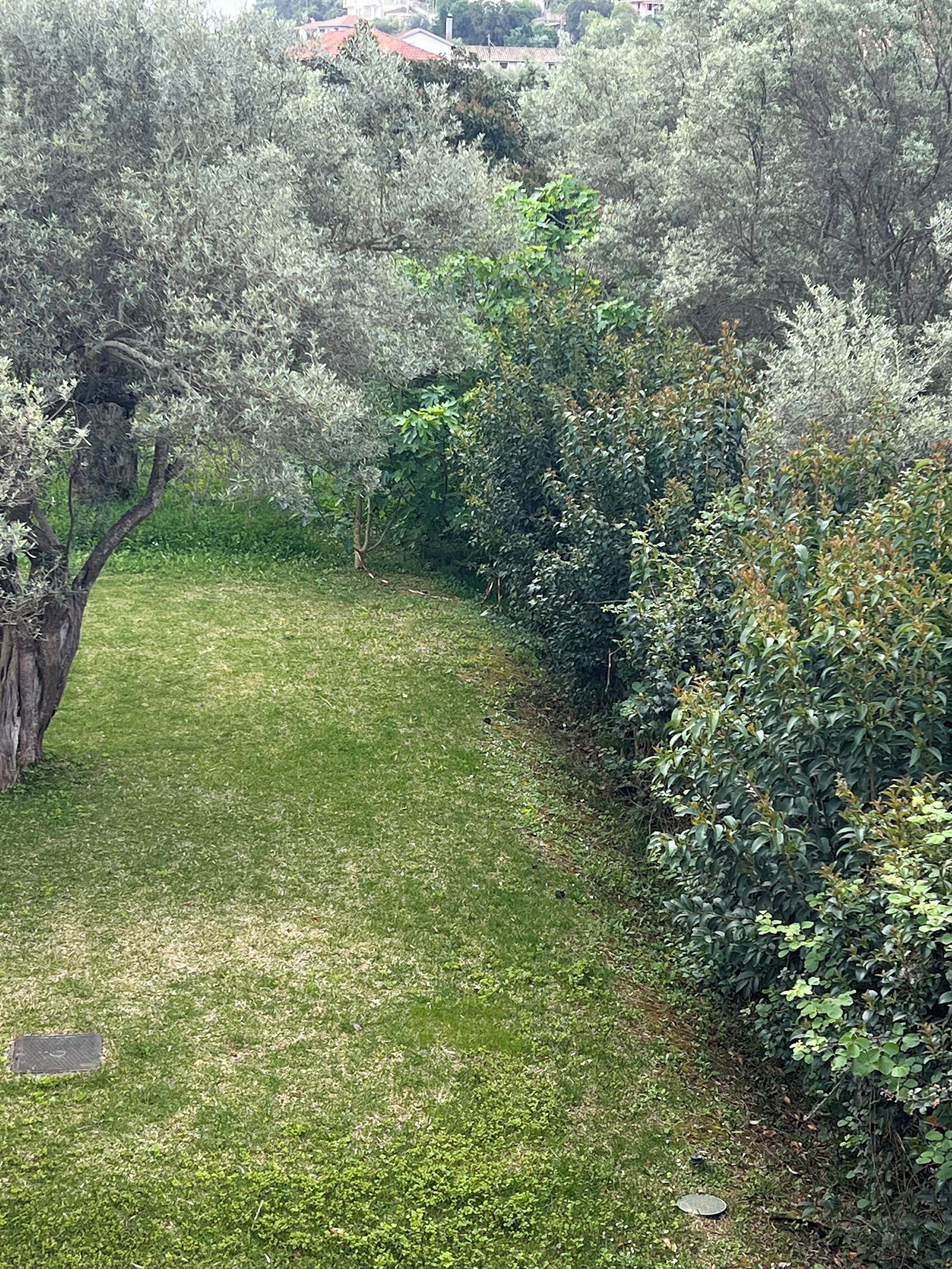 Chambre Double ou avec lits jumeaux, vue jardin | Enceinte de l’hébergement